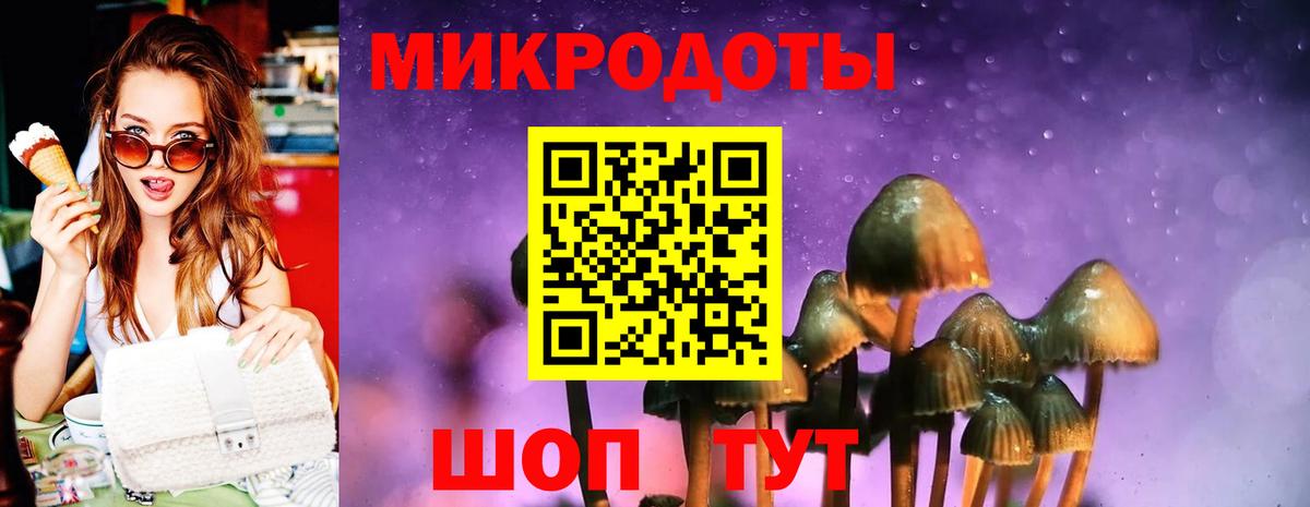 Галлюциногенные грибы MAGIC MUSHROOMS  Псилоцибиновые грибы Psilocybe  Вход с VPN  Котельники 